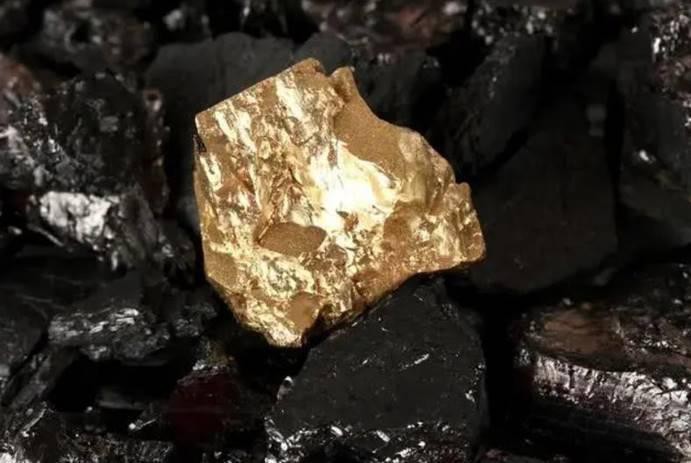 哪些品種的24K龍魚最受歡迎？