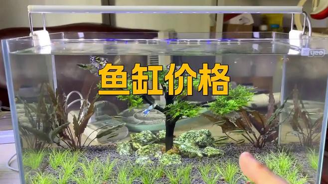 這些品牌魚缸的價格范圍是多少？