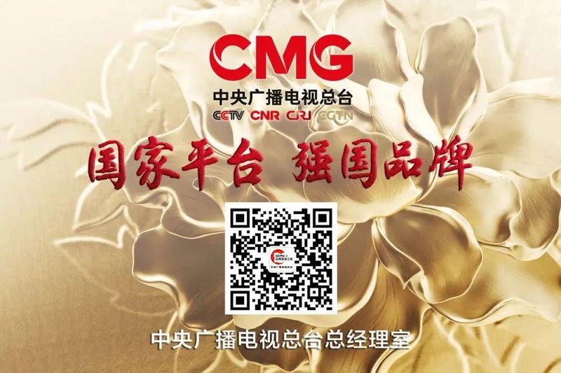 金龍魚與央視的合作細節是什么？