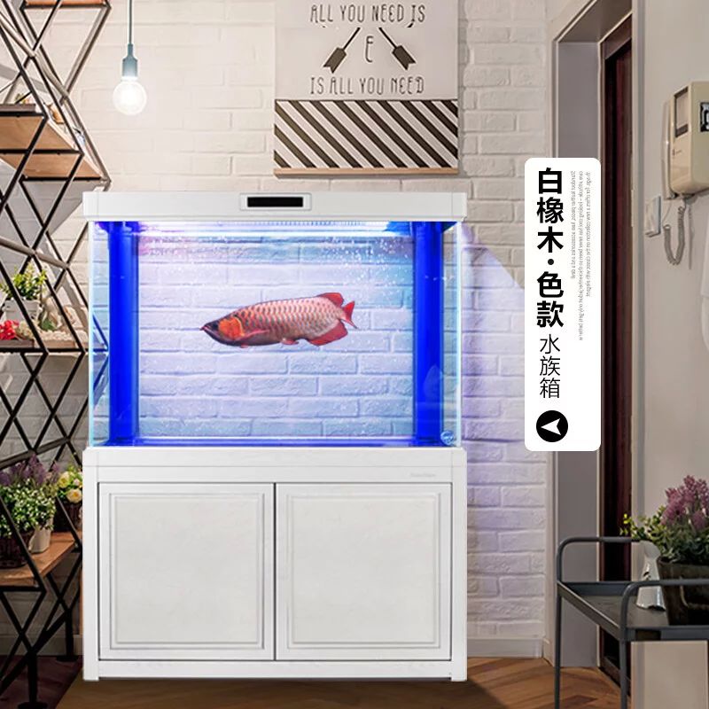 龍魚多大的缸合適養：養龍魚需要考慮魚缸的合適尺寸