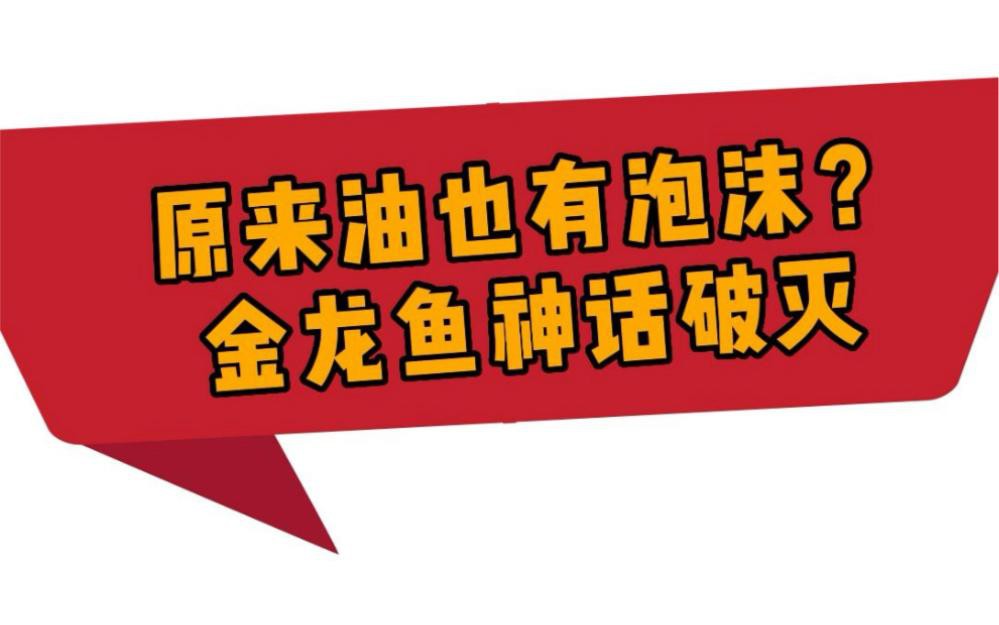 金龍魚調和油還有哪些產品系列？