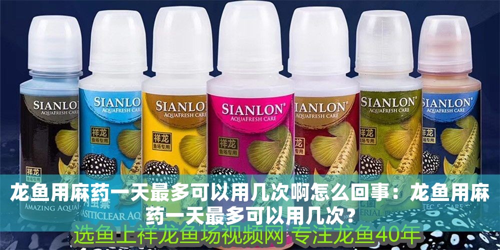龍魚用麻藥一天最多可以用幾次啊怎么回事：龍魚用麻藥一天最多可以用幾次？