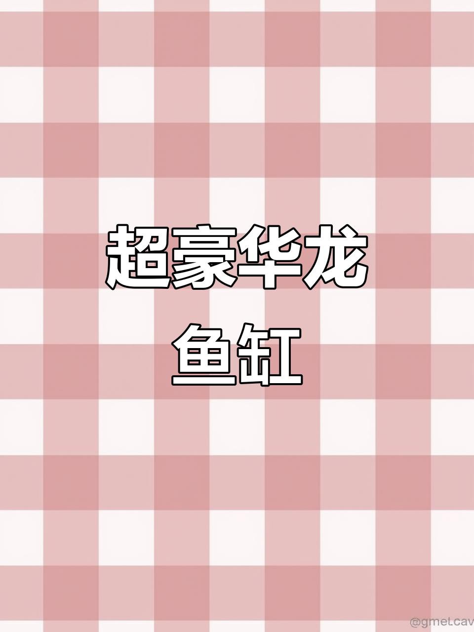 推薦幾款適合龍魚的魚缸品牌