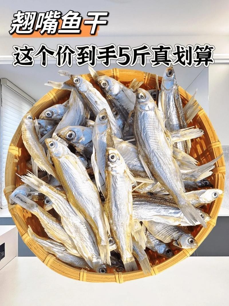 金龍魚翹嘴圖片大全大圖欣賞