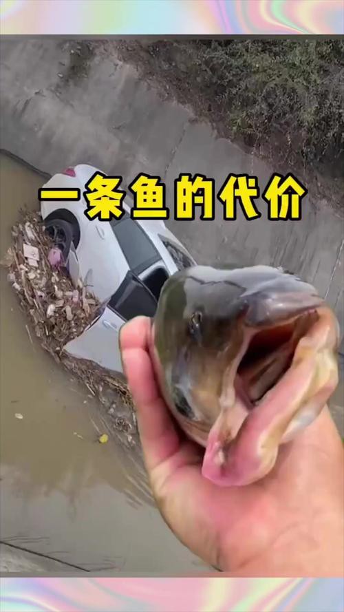 金龍魚翹嘴圖片大全大圖欣賞