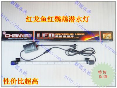 紅龍魚水中燈放什么位置對(duì)發(fā)色好（紅龍魚水中燈放置位置對(duì)于其發(fā)色有著顯著的影響）