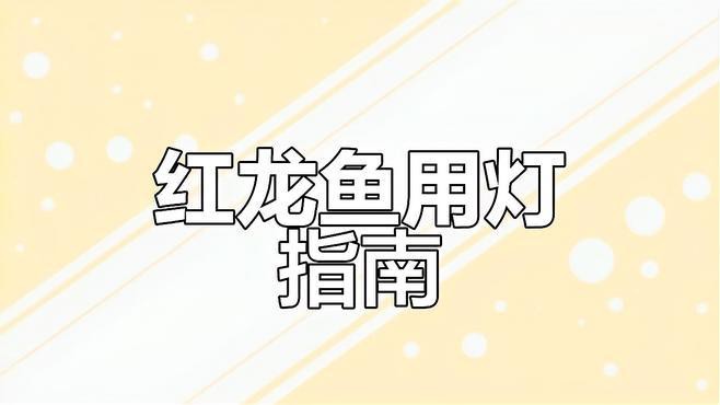 如何為紅龍魚選擇合適的燈光？
