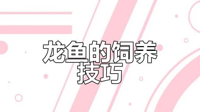 金龍魚用什么燈照比較好 龍魚百科 第9張 金龍魚用什么燈照比較好 金龍魚用什么燈照比較好 龍魚百科 第9張