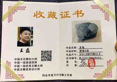 龍魚證書編號查詢（如何查詢龍魚證書編號）