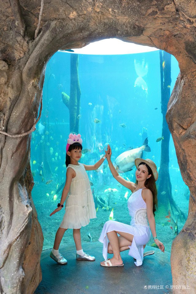 珠海水族館 龍魚世家水族館認真開放