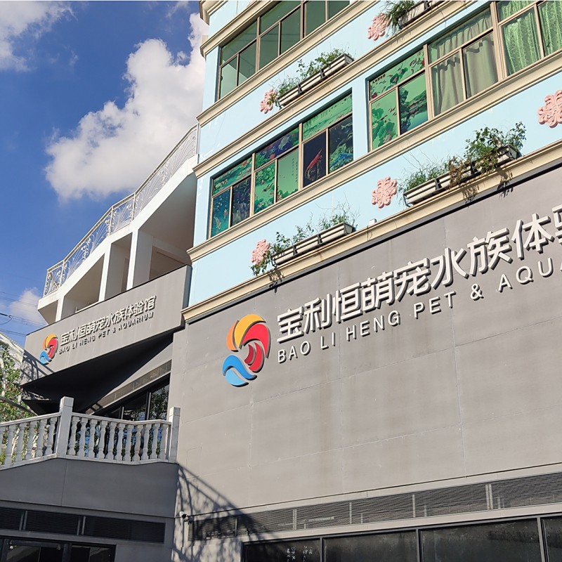 寶龍魚缸實體店在哪里
