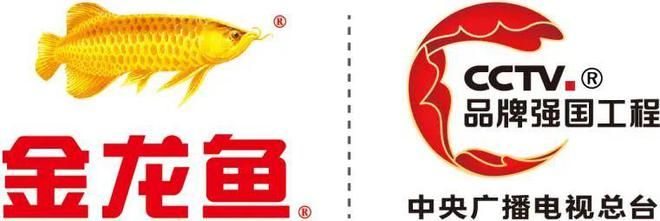金龍魚廣告片在線觀看：金龍魚廣告片在線觀看方法