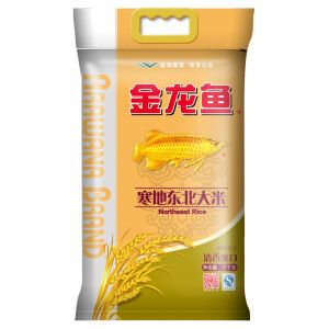 給金龍魚吃的什么魚好養（金龍魚吃什么食物最好）