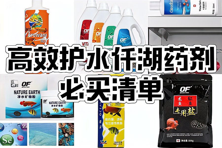 養龍魚可以放凈水藥嗎