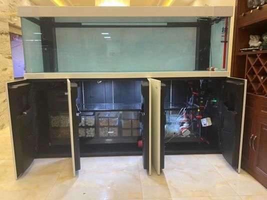 白玉龍魚怎么養殖：白玉龍魚養殖技術