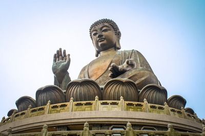 月光鴨嘴魚水質管理技巧（月光鴨嘴魚水質管理技巧，月光鴨嘴魚混養比例建議）