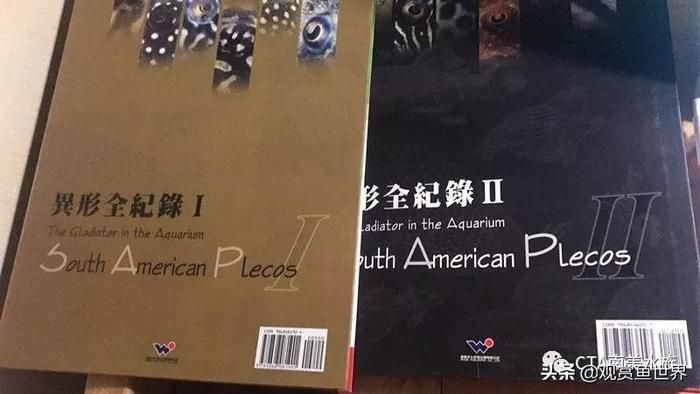 老虎異形魚種類大全