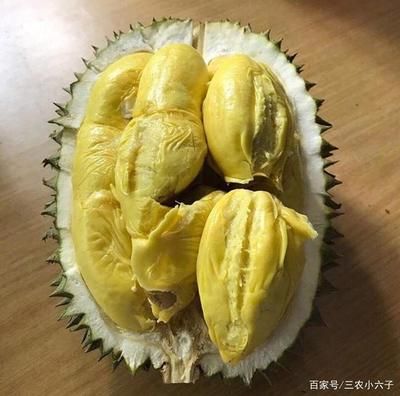 榴蓮與其他熱帶水果對比，榴蓮與其他熱帶水果有著顯著的區別