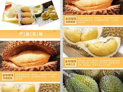榴蓮與其他熱帶水果對比，榴蓮與其他熱帶水果有著顯著的區別