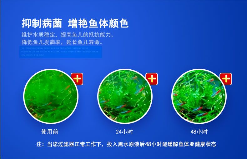 養(yǎng)龍魚(yú)夏天魚(yú)缸水溫高怎么辦：養(yǎng)龍魚(yú)夏天水溫高怎么辦