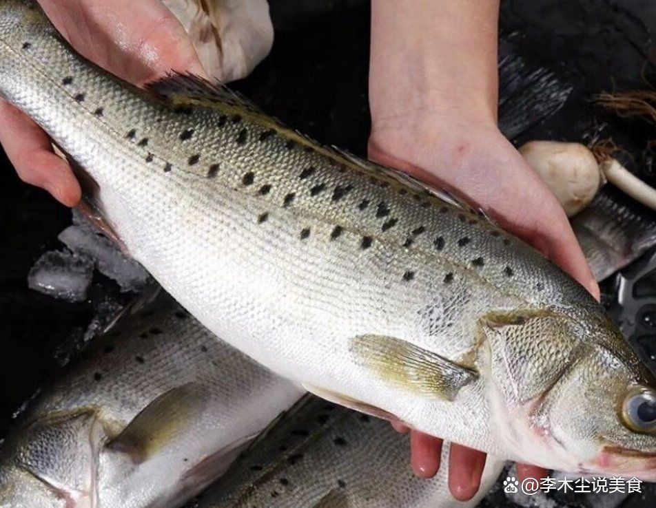 孔雀斑魚貴還是鱸魚貴