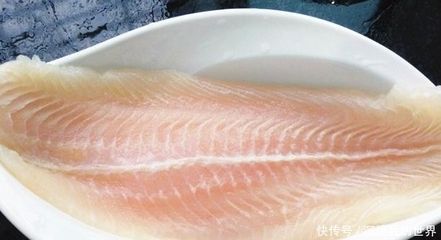 龍魚吃的少是什么原因：龍魚不吃東西的原因