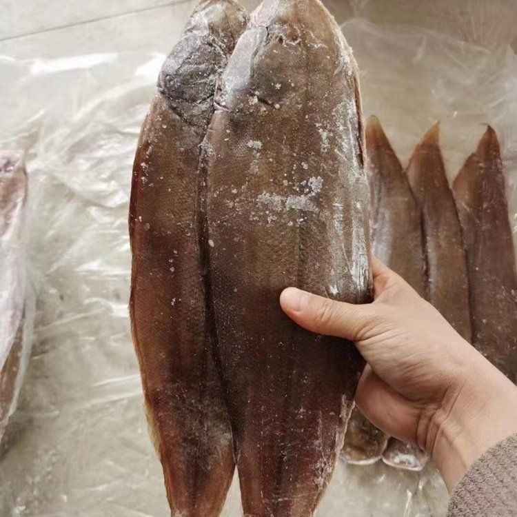 龍利魚多少錢一斤