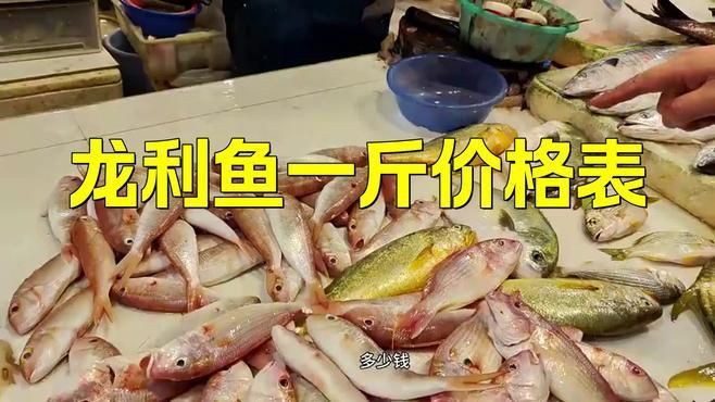 龍利魚多少錢一斤