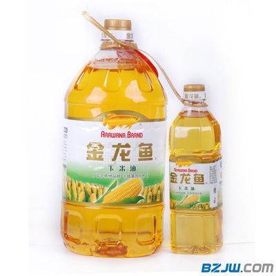 金龍魚怎么看品質標準：判斷金龍魚的品質和價值，金龍魚怎么看品質和價值