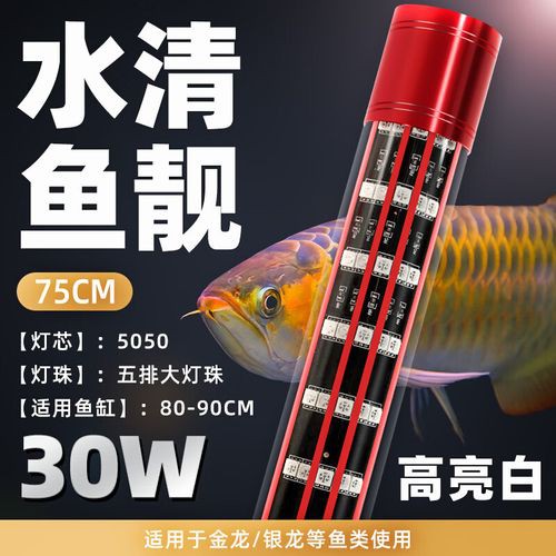 金龍魚缸燈擺放圖