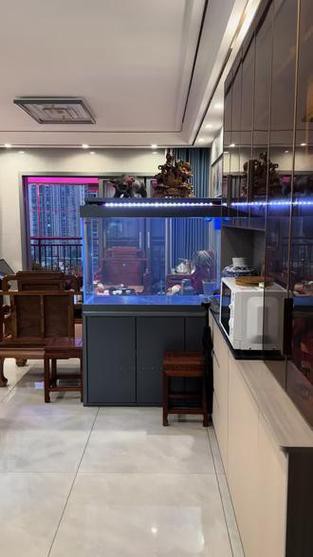 金龍魚缸燈擺放圖