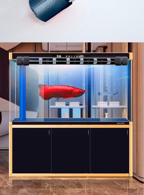 金龍魚缸燈擺放圖