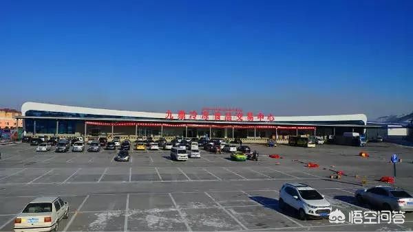 龍魚和招財能混養嗎：龍魚和招財魚可以混養嗎