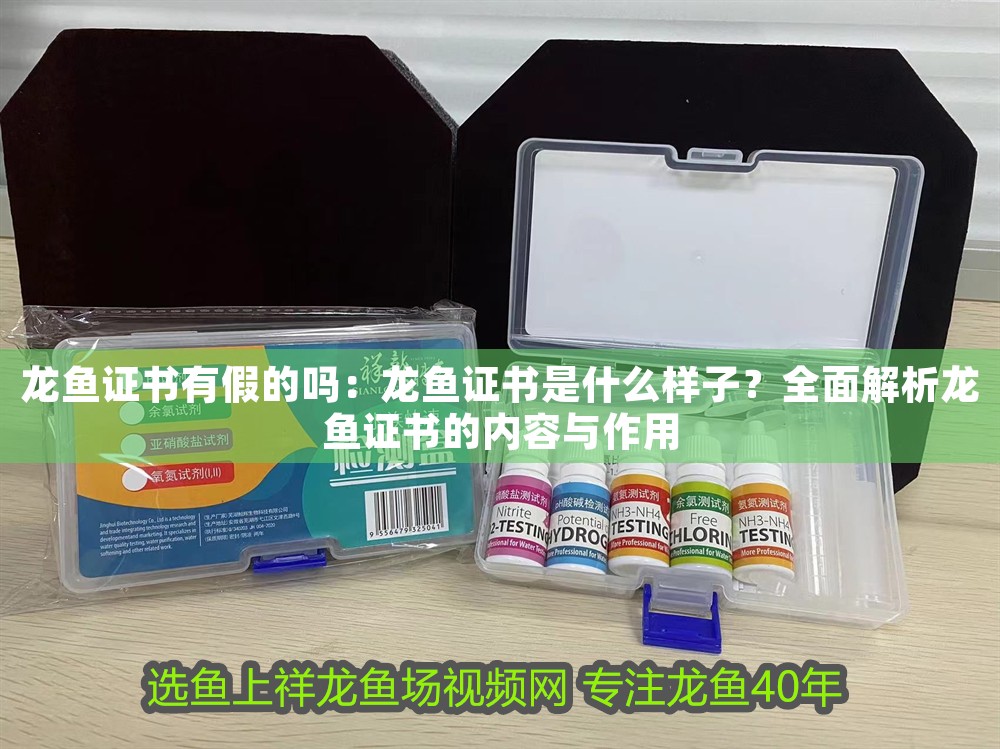 龍魚證書有假的嗎：龍魚證書是什么樣子？全面解析龍魚證書的內容與作用
