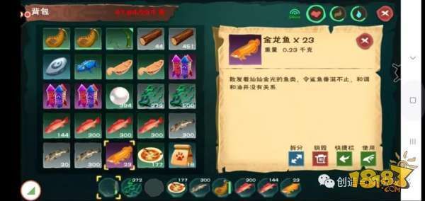 金龍魚用什么釣在哪里釣最好（摩爾莊園手游金龍魚釣具選擇技巧金龍魚棲息地生態特點）