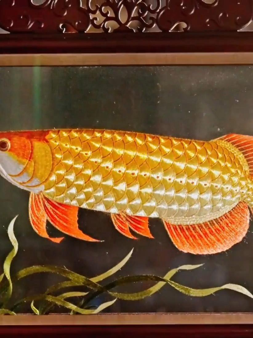 金龍魚工藝品哪個材質最好？