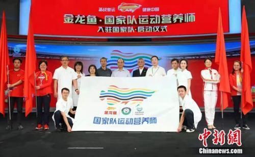 金龍魚國家隊(duì)（國家隊(duì)合作對(duì)金龍魚營收的影響）