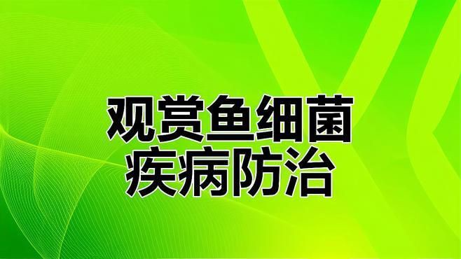 龍魚細(xì)菌性腸炎治療需要多長時間？
