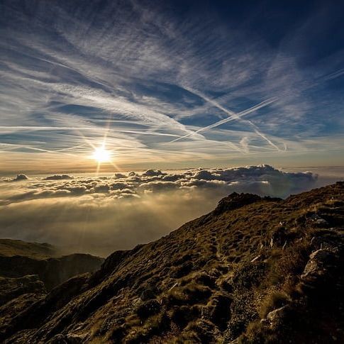 金龍魚(yú)分幾個(gè)檔次
