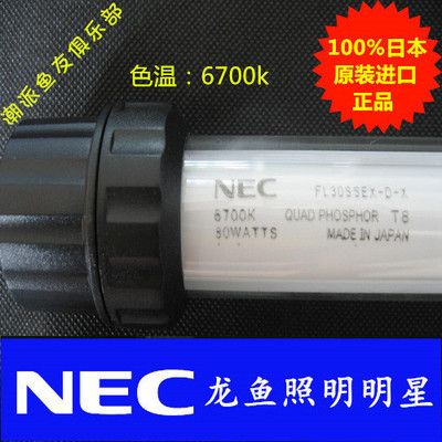 龍魚nec燈使用壽命，關于龍魚nec燈的使用壽命