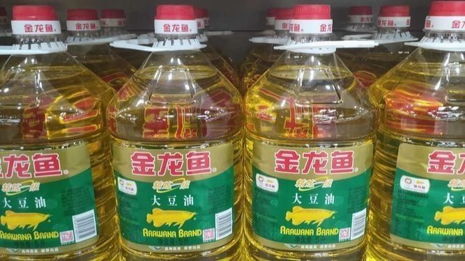 金龍魚在缸下面不動(dòng)為什么？：金龍魚在缸底不動(dòng)可能是由多種因素引起的金龍魚趴缸