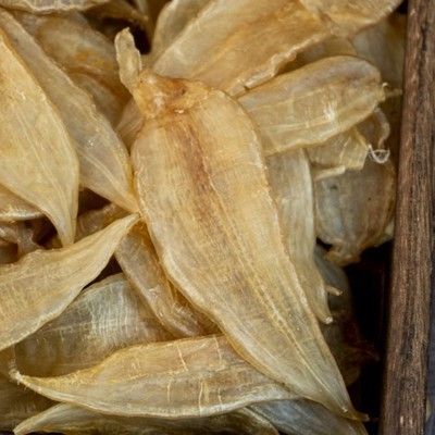 金龍魚膠50頭價格多少錢（50頭金龍魚膠價格介紹金龍魚膠真假辨別方法）