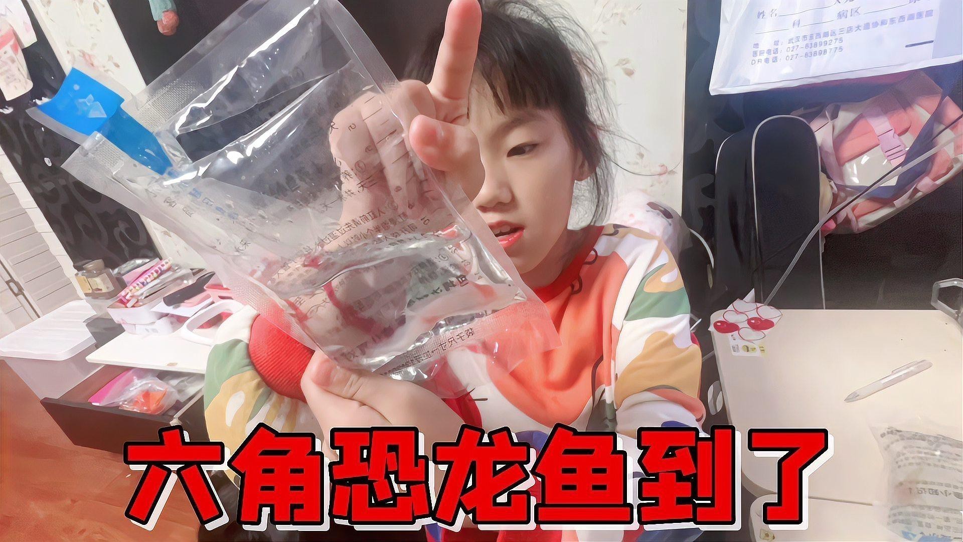 恐龍魚吃什么蟲子長得快