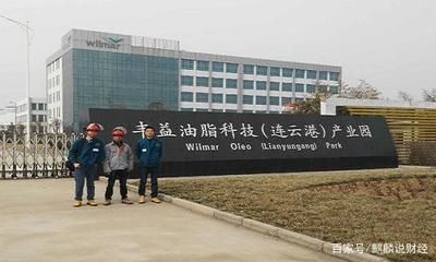 深圳金龍魚老板（金龍魚是什么公司？）