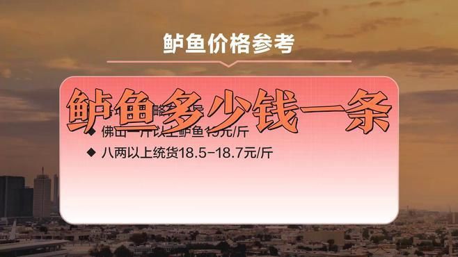 鱸魚市場價多少錢一斤