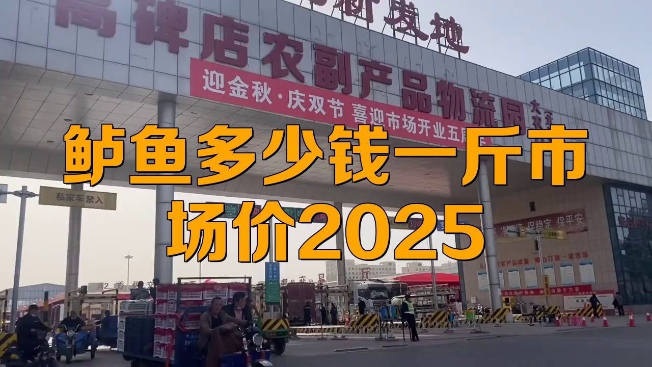 鱸魚市場價多少錢一斤