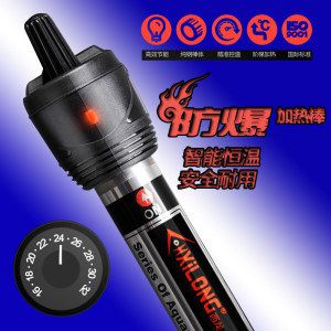 龍魚缸加熱棒全年開嗎：龍魚缸加熱棒沒必要全年開嗎龍魚缸加熱棒不需要全年開