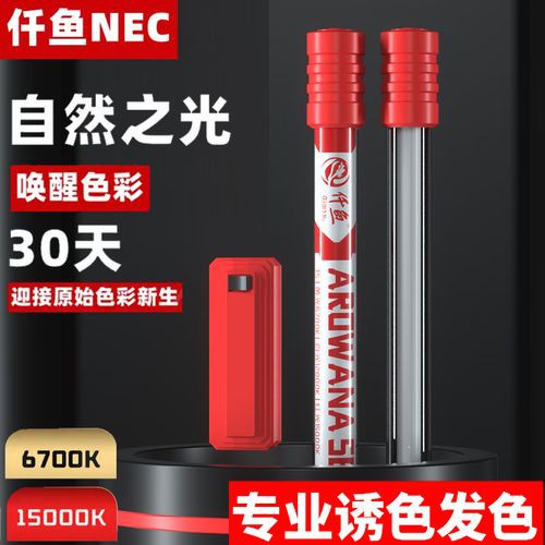 有哪些增色燈適合金龍魚？