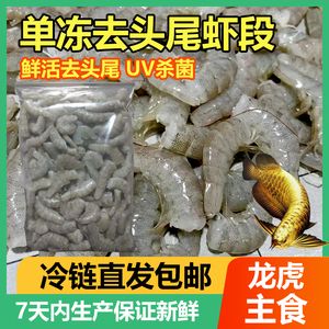 怎么訓練龍魚吃顆粒飼料（如何訓練龍魚吃顆粒飼料）