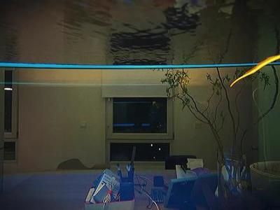 紅龍魚的喂食量與喂食頻率有關(guān)嗎？：紅龍魚喂食量與喂食頻率有關(guān)嗎？